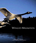 Winged Migration