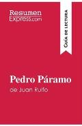Pedro P?ramo de Juan Rulfo (Gu?a de lectura): Resumen y an?lisis completo