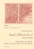 Napoli, il labirinto da cui non si esce: Cinque letture geocritiche: Serao, Yourcenar, Ortese, Ferrante, Parrella