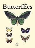Butterflies Schmetterlinge