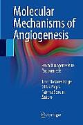 Molecular Mechanisms of Angiogenesis: From Ontogenesis to Oncogenesis