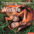 Worlds Top Photographers Wildlife