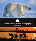 An Illustrated A to Z of Digital Wildlife Photography