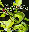 Les Serpents Life Cycle Of A Snake