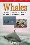 Whales of the North Atlantic: Biology and Ecology
