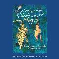 Amazon Rainforest Magic: The adventures of Namow?, a Yanomami boy