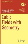 Cubic Fields with Geometry