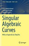 Singular Algebraic Curves: With an Appendix by Oleg Viro