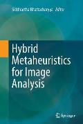 Hybrid Metaheuristics for Image Analysis