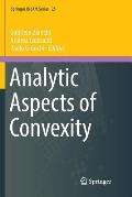Analytic Aspects of Convexity