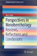 Perspectives in Meiobenthology: Reviews, Reflections and Conclusions