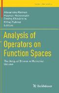 Analysis of Operators on Function Spaces: The Serguei Shimorin Memorial Volume
