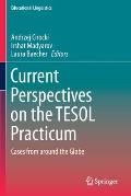 Current Perspectives on the TESOL Practicum: Cases from Around the Globe