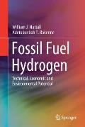 Fossil Fuel Hydrogen: Technical, Economic and Environmental Potential