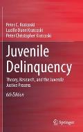 Juvenile Delinquency: Theory, Research, and the Juvenile Justice Process