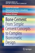 Bone Cement: From Simple Cement Concepts to Complex Biomimetic Design