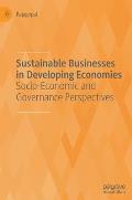Sustainable Businesses in Developing Economies: Socio-Economic and Governance Perspectives