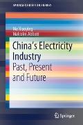 China's Electricity Industry: Past, Present and Future