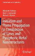 Initiation and Flame Propagation in Combustion of Gases and Pyrophoric Metal Nanostructures