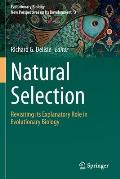 Natural Selection: Revisiting Its Explanatory Role in Evolutionary Biology