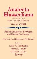 Phenomenology of the Object and Human Positioning: Human, Non-Human and Posthuman