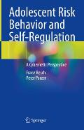 Adolescent Risk Behavior and Self-Regulation: A Cybernetic Perspective