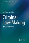 Criminal Law-Making: Theory and Practice