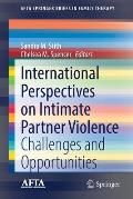 International Perspectives on Intimate Partner Violence: Challenges and Opportunities