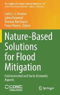 Nature-Based Solutions for Flood Mitigation: Environmental and Socio-Economic Aspects