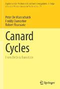 Canard Cycles: From Birth to Transition