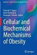 Cellular and Biochemical Mechanisms of Obesity