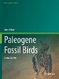 Paleogene Fossil Birds