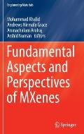 Fundamental Aspects and Perspectives of Mxenes