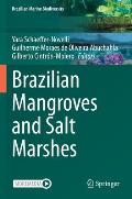 Brazilian Mangroves and Salt Marshes