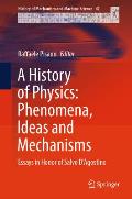 A History of Physics: Phenomena, Ideas and Mechanisms: Essays in Honor of Salvo d'Agostino