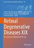 Retinal Degenerative Diseases XIX: Mechanisms and Experimental Therapy