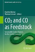 Co2 and Co as Feedstock: Sustainable Carbon Sources for the Circular Economy
