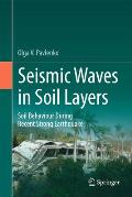 Seismic Waves in Soil Layers: Soil Behaviour During Recent Strong Earthquakes