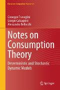 Notes on Consumption Theory: Deterministic and Stochastic Dynamic Models