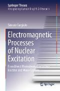 Electromagnetic Processes of Nuclear Excitation: From Direct Photoabsorption to Free Electron and Muon Capture