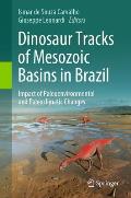Dinosaur Tracks of Mesozoic Basins in Brazil: Impact of Paleoenvironmental and Paleoclimatic Changes
