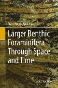 Larger Benthic Foraminifera Through Space and Time