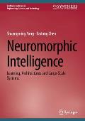 Neuromorphic Intelligence: Learning, Architectures and Large-Scale Systems