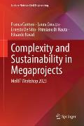 Complexity and Sustainability in Megaprojects: Merit Workshop 2023