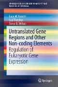 Untranslated Gene Regions and Other Non-Coding Elements: Regulation of Eukaryotic Gene Expression