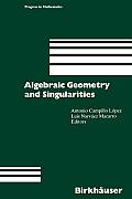 Algebraic Geometry and Singularities