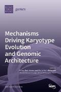 Mechanisms Driving Karyotype Evolution and Genomic Architecture