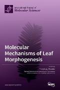 Molecular Mechanisms of Leaf Morphogenesis