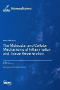 The Molecular and Cellular Mechanisms of Inflammation and Tissue Regeneration