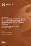 Current Status of Low-Grade Minerals and Mine Wastes Recovery: Reaction Mechanism, Mass Transfer, and Process Control